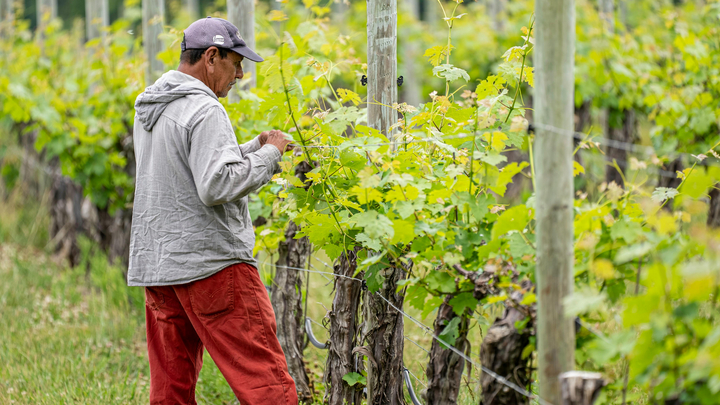 Image: pexels.com/Mark Stebnicki