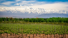 (Image: Pav-Pro Photography / stock.adobe.com)