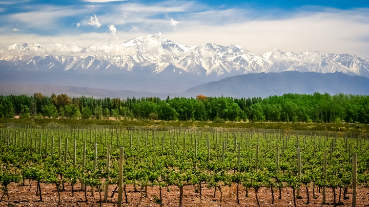 (Image: Pav-Pro Photography / stock.adobe.com)