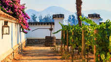 Image: stock.adobe.com/Nadezda