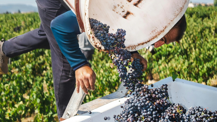 Image: pexels.com/Filipp Romanovski