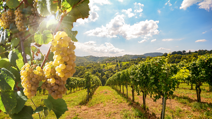 Image: stock.adobe.com / ah fotobox