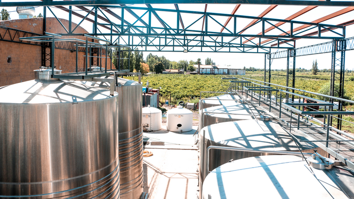 Wine production in Argentina (Image: Sina / stock.adobe.com)