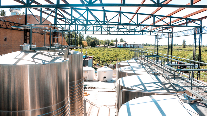 Wine production in Argentina (Image: Sina / stock.adobe.com)