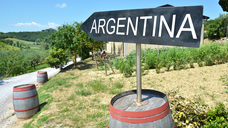 Credit: stock.adobe.com/pincasso