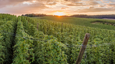 Image: Wolfgang Hauke / stock.adobe.com