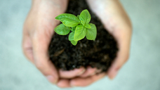 Credit: Jennifer Delmarre, Unsplash