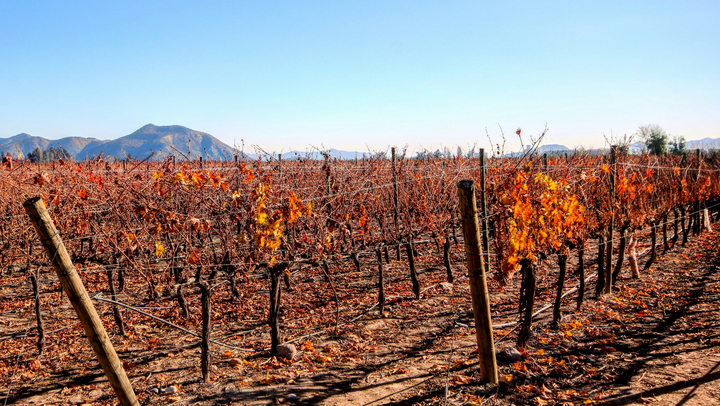 Credit: unsplash.com/Jorge Fernandez Salas