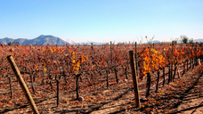 Credit: unsplash.com/Jorge Fernandez Salas