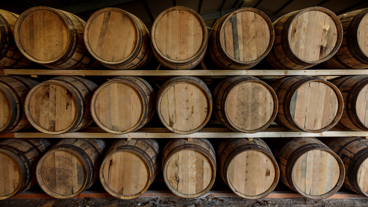 (Image: PHILL THORNTON PHOTO / stock.adobe.com)