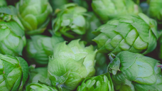 picture: Markus Spiske (Pexels)