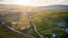 Image: pexels.com/Filipp Romanovski